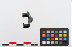 Foto von Bronzeriemendurchzug (NHMW-PRAE-024384)